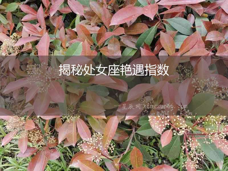 揭秘處女座艷遇指數(shù)