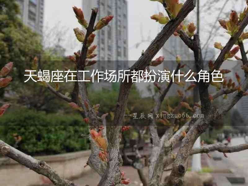 天蝎座在工作場(chǎng)所都扮演什么角色