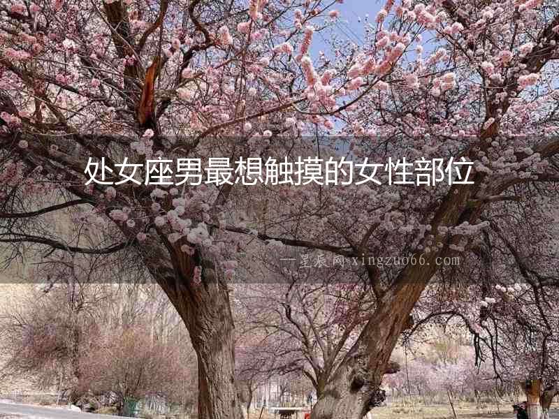 處女座男最想觸摸的女性部位