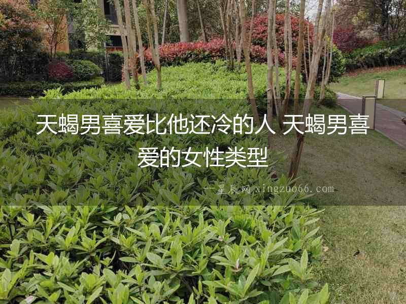 天蝎男喜愛(ài)比他還冷的人 天蝎男喜愛(ài)的女性類(lèi)型
