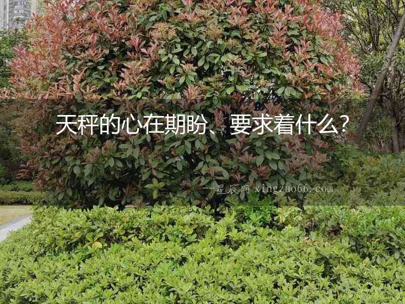 天秤的心在期盼、要求著什么？