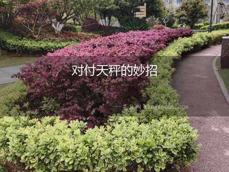 對付天秤的妙招