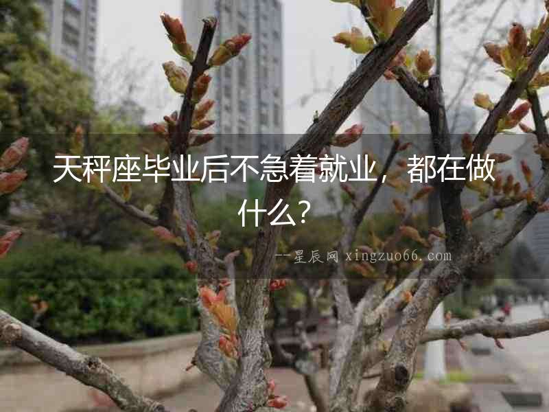 天秤座畢業(yè)后不急著就業(yè)，都在做什么？