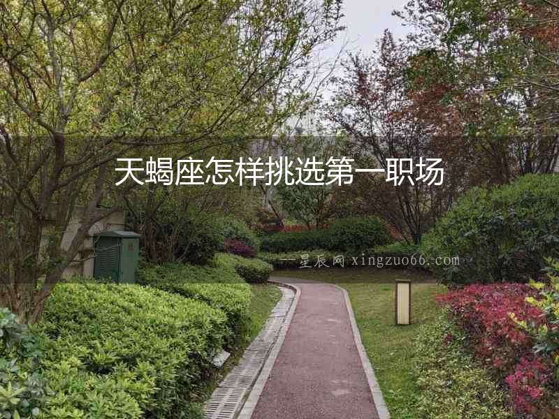 天蝎座怎樣挑選第一職場(chǎng)
