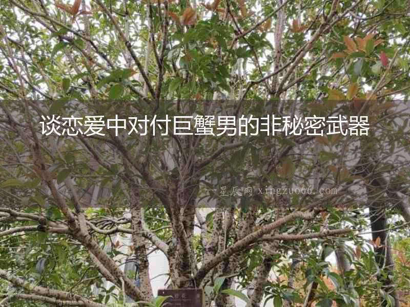 談戀愛中對(duì)付巨蟹男的非秘密武器