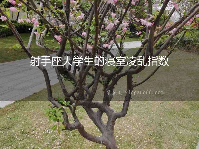 射手座大學生的寢室凌亂指數