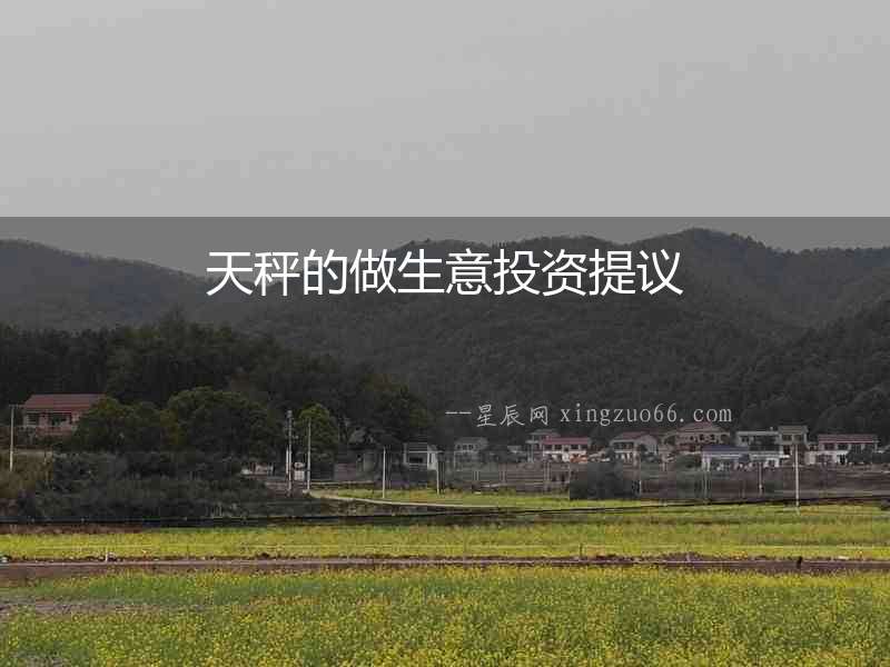 天秤的做生意投資提議