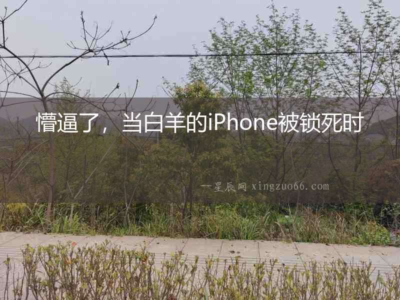 懵逼了，當白羊的iPhone被鎖死時