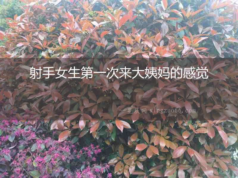 射手女生第一次來(lái)大姨媽的感覺(jué)