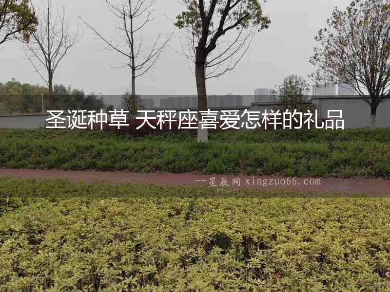 圣誕種草 天秤座喜愛怎樣的禮品
