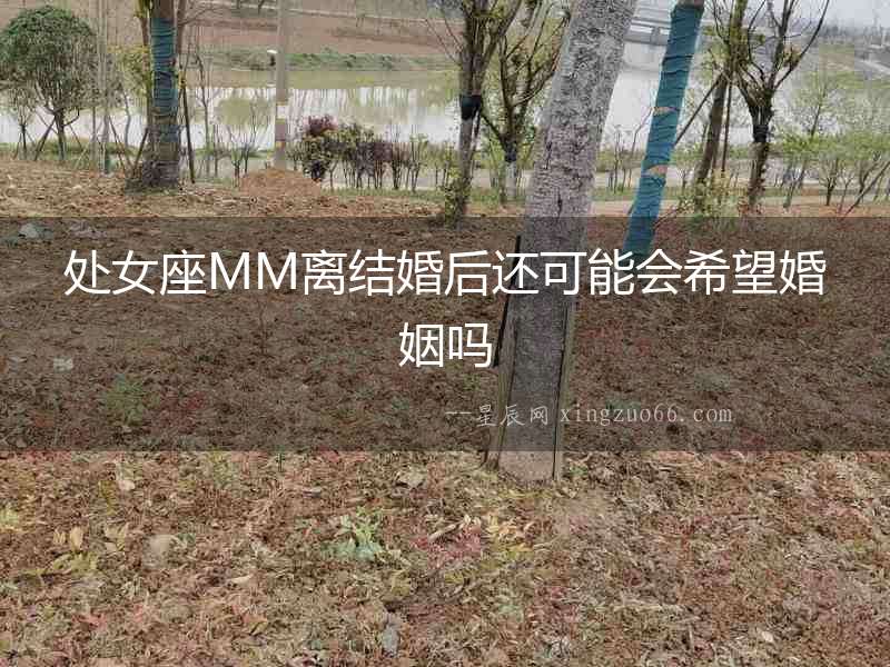 處女座MM離結婚后還可能會希望婚姻嗎