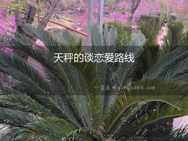 天秤的談戀愛路線
