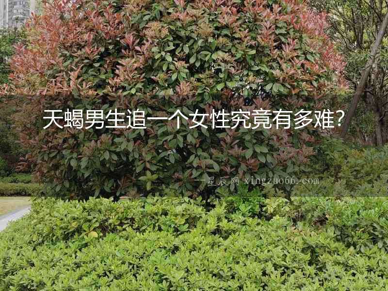 天蝎男生追一個女性究竟有多難？