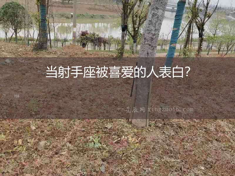 當(dāng)射手座被喜愛的人表白？