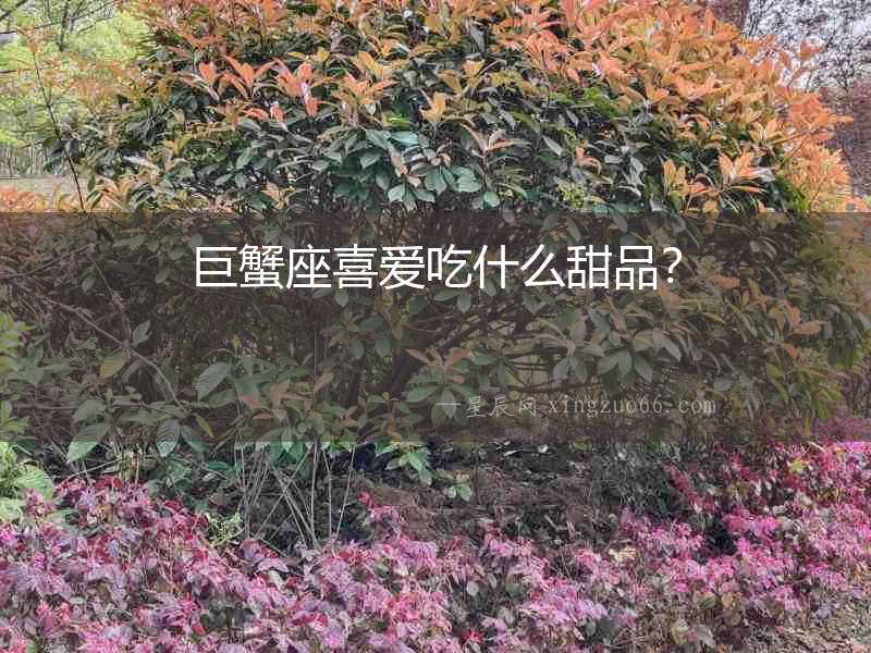 巨蟹座喜愛吃什么甜品？