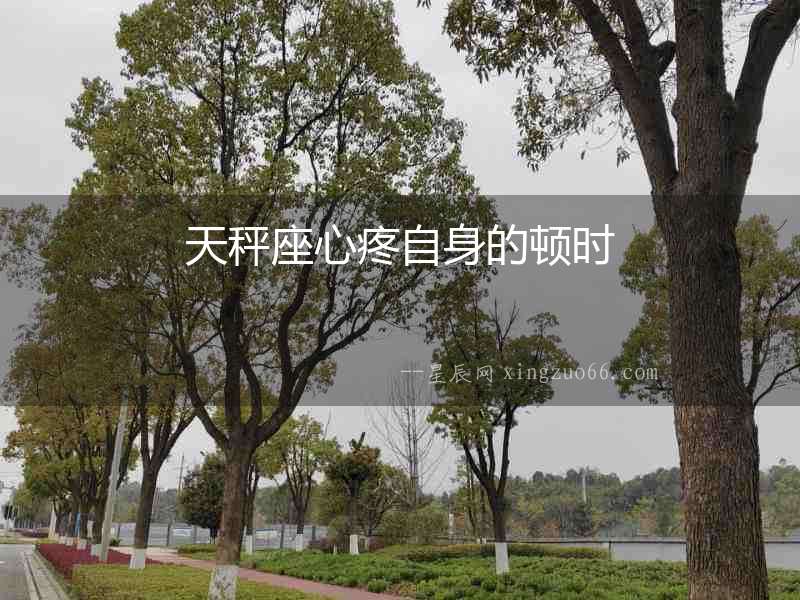 天秤座心疼自身的頓時