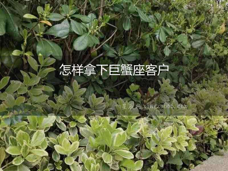 怎樣拿下巨蟹座客戶
