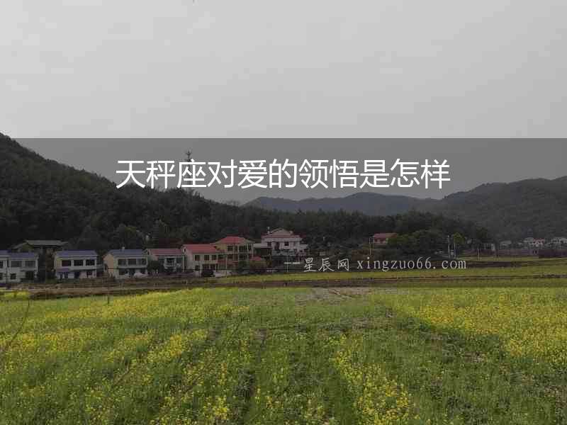 天秤座對愛的領悟是怎樣