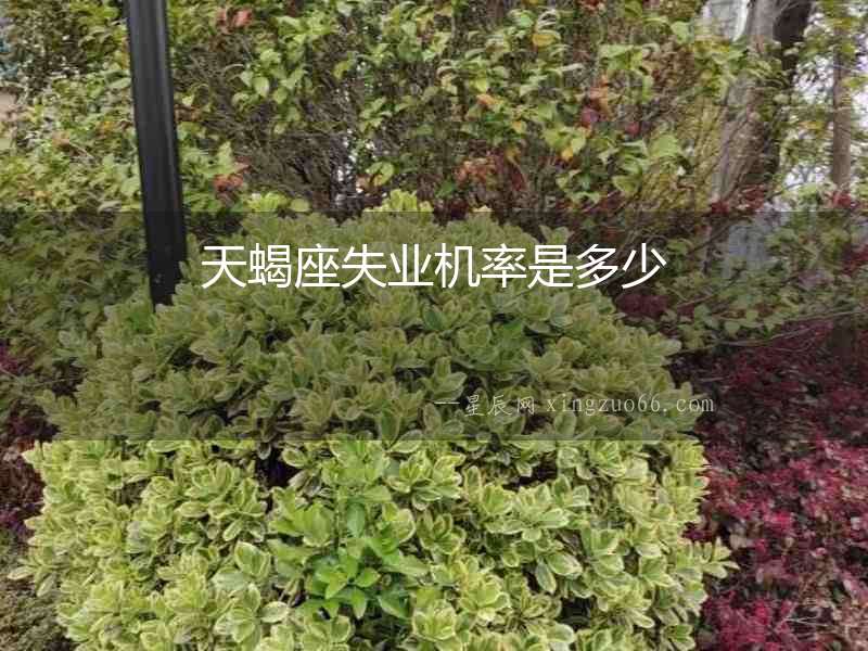 天蝎座失業(yè)機率是多少