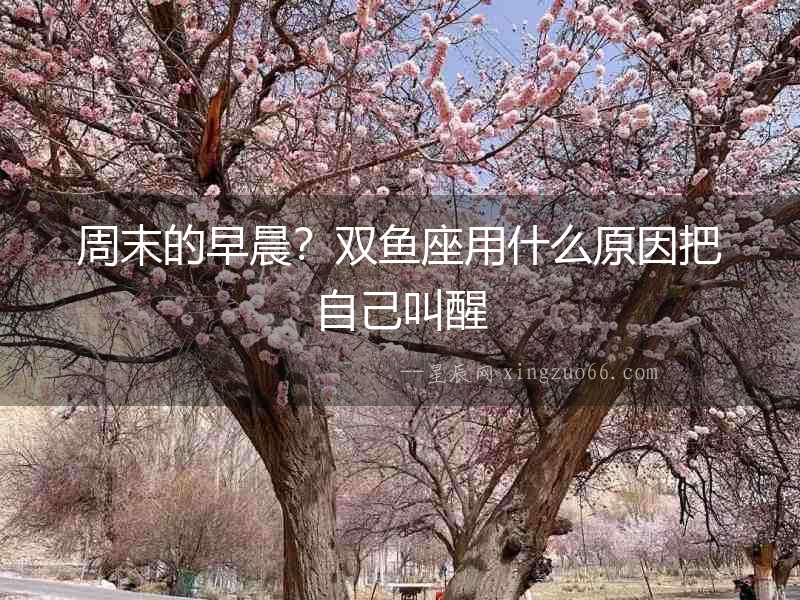 周末的早晨？雙魚座用什么原因把自己叫醒