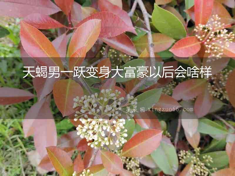 天蝎男一躍變身大富豪以后會啥樣