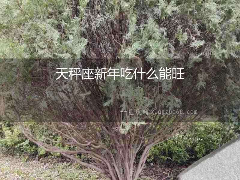 天秤座新年吃什么能旺