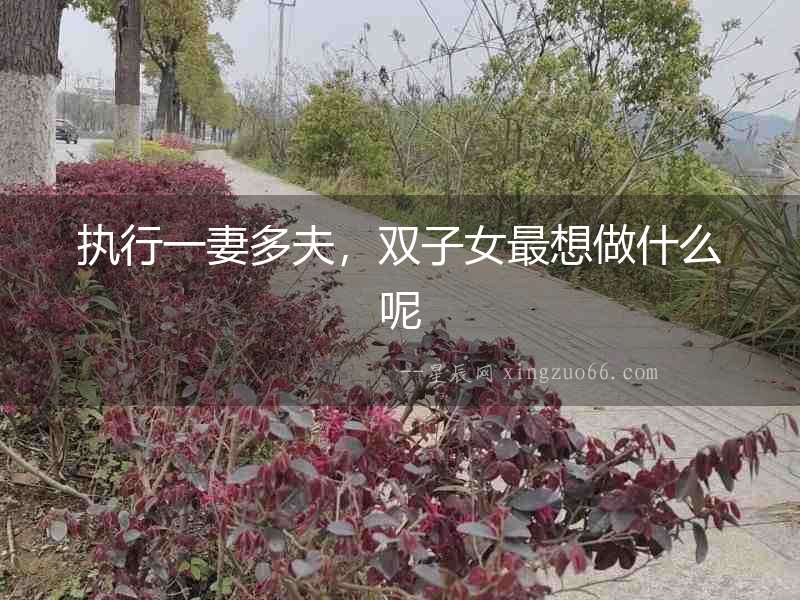 執行一妻多夫，雙子女最想做什么呢