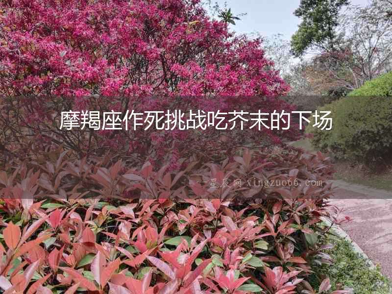摩羯座作死挑戰吃芥末的下場