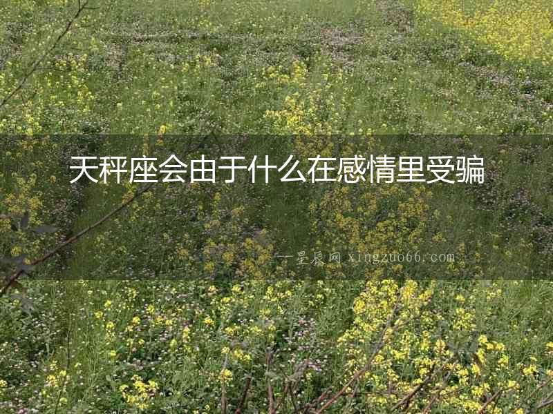 天秤座會由于什么在感情里受騙