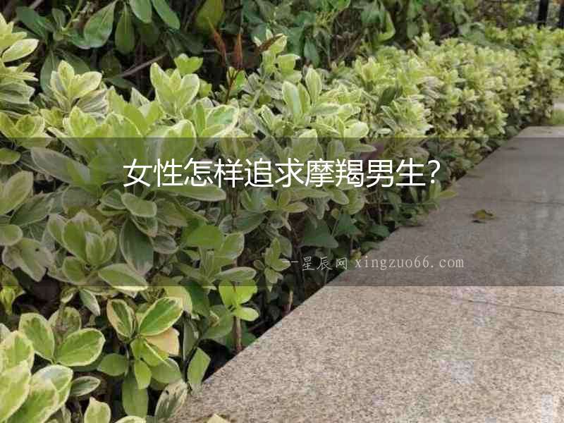 女性怎樣追求摩羯男生？