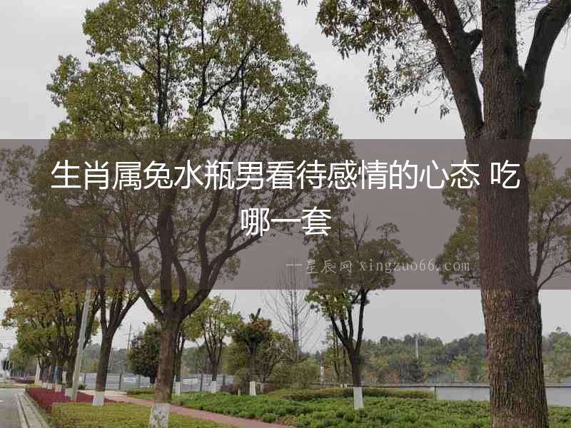 生肖屬兔水瓶男看待感情的心態 吃哪一套