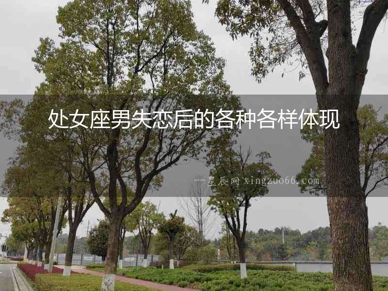 處女座男失戀后的各種各樣體現(xiàn)