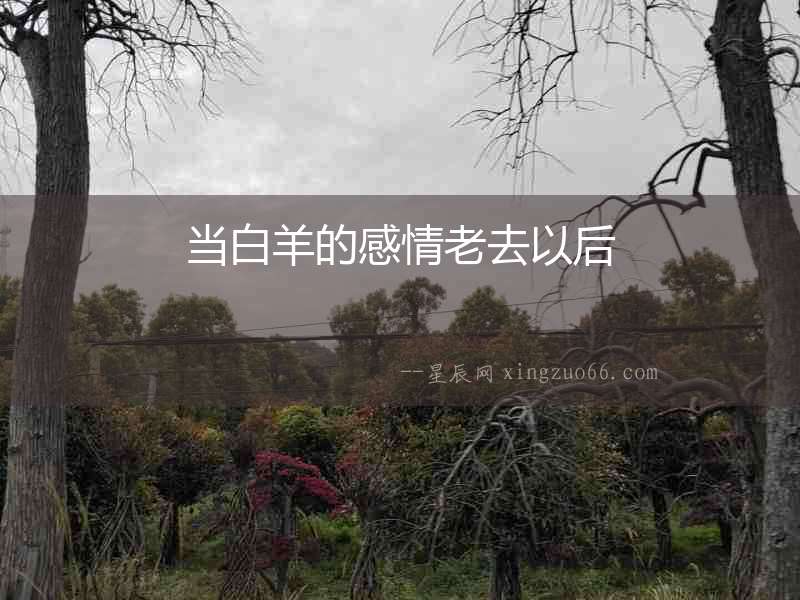當(dāng)白羊的感情老去以后