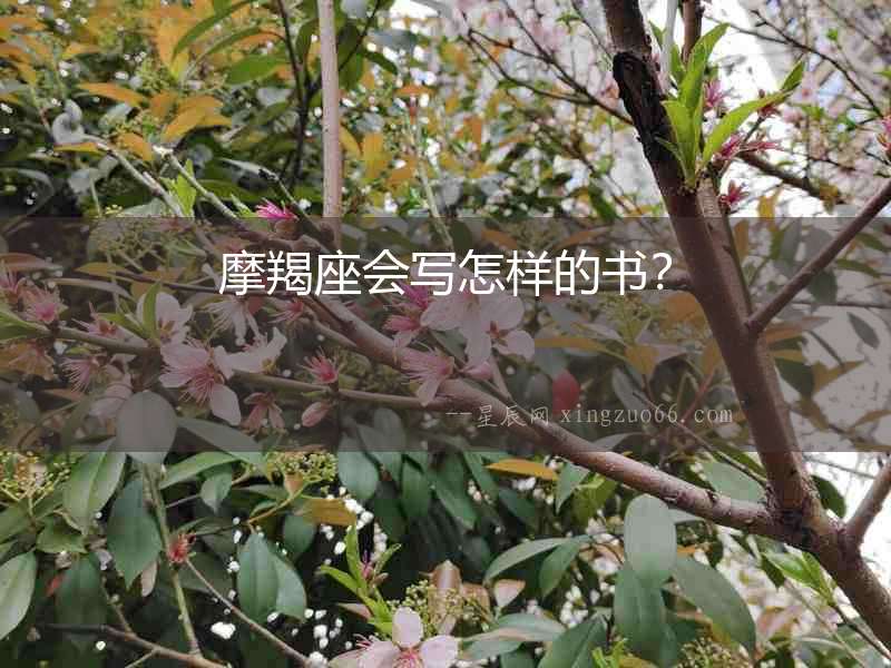 摩羯座會寫怎樣的書？