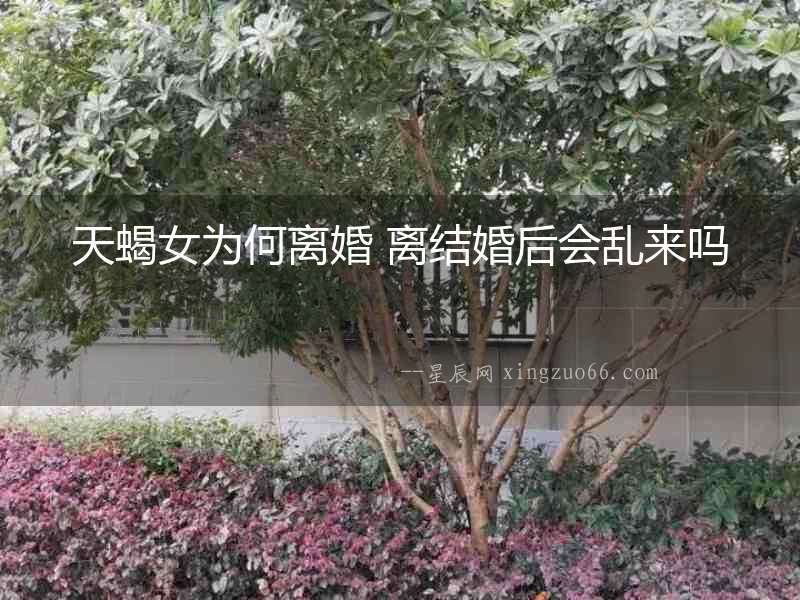 天蝎女為何離婚 離結(jié)婚后會(huì)亂來嗎