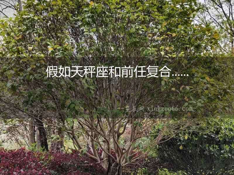 假如天秤座和前任復(fù)合......