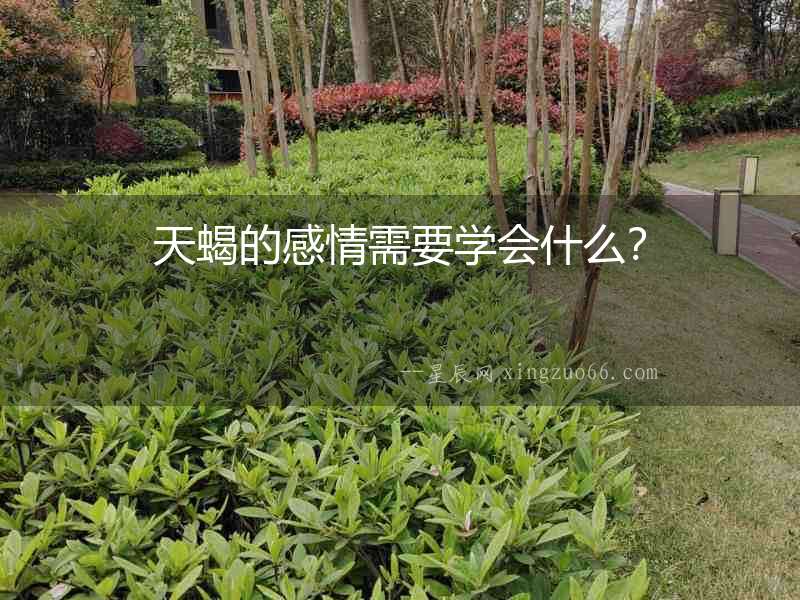 天蝎的感情需要學(xué)會什么？