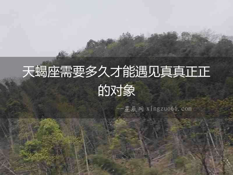 天蝎座需要多久才能遇見(jiàn)真真正正的對(duì)象