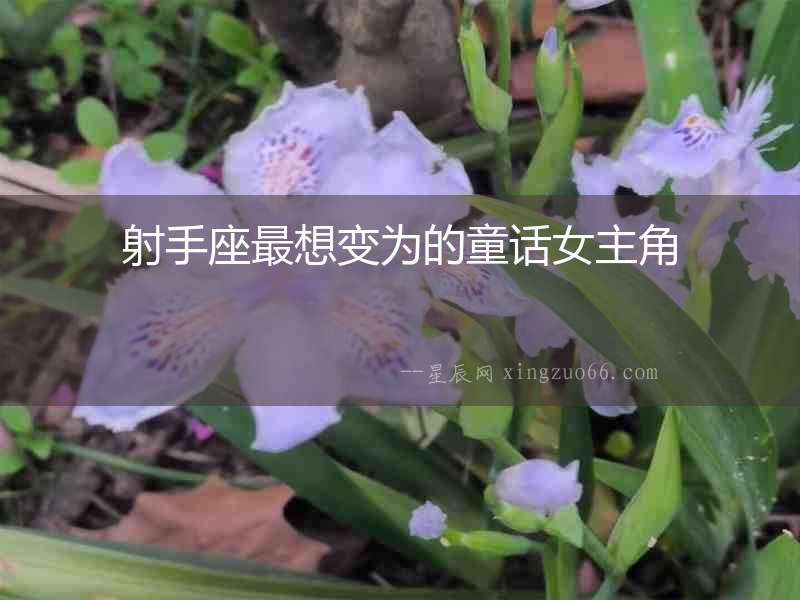 射手座最想變?yōu)榈耐捙鹘? alt=