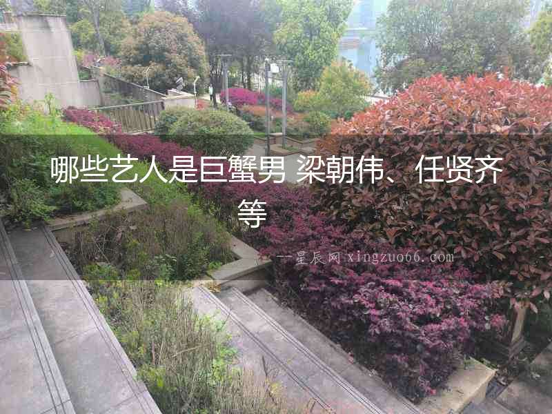 哪些藝人是巨蟹男 梁朝偉、任賢齊等  　　