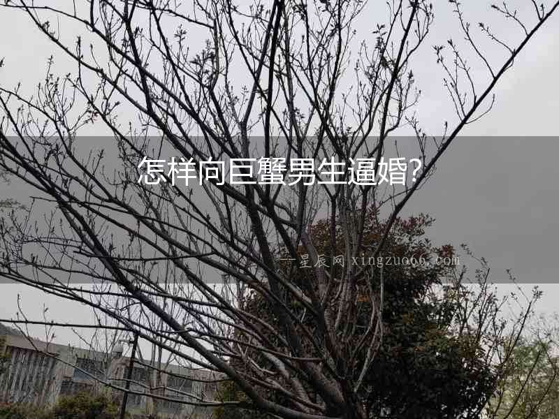 怎樣向巨蟹男生逼婚？