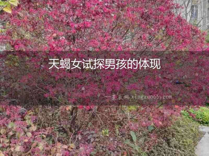 天蝎女試探男孩的體現