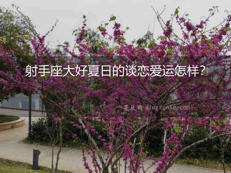 射手座大好夏日的談戀愛運怎樣？