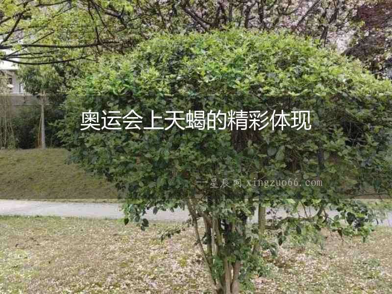 奧運會上天蝎的精彩體現