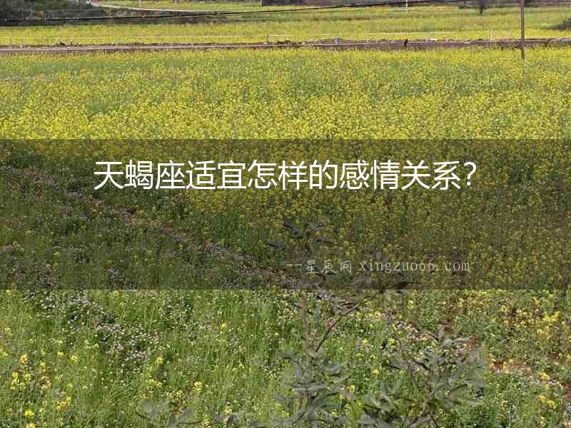 天蝎座適宜怎樣的感情關(guān)系？