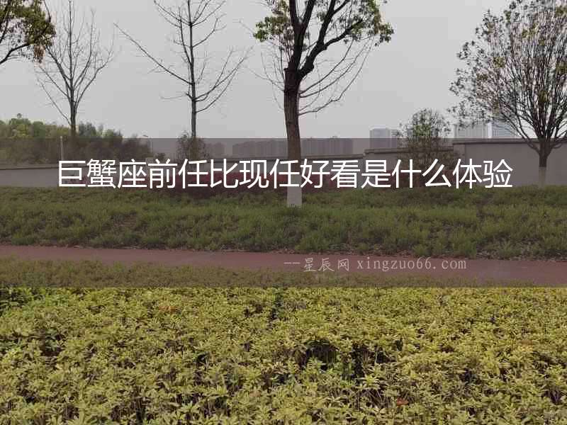 巨蟹座前任比現任好看是什么體驗