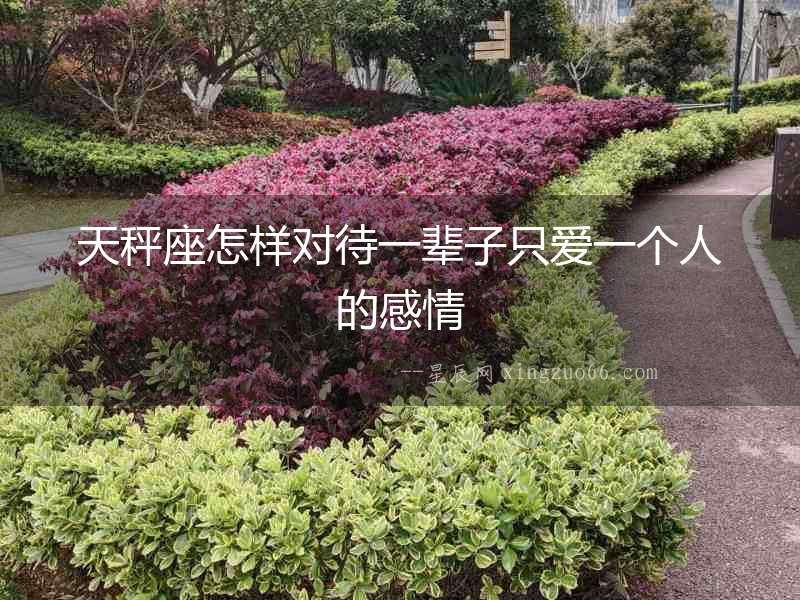天秤座怎樣對(duì)待一輩子只愛(ài)一個(gè)人的感情