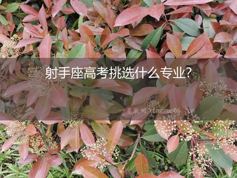 射手座高考挑選什么專業(yè)？