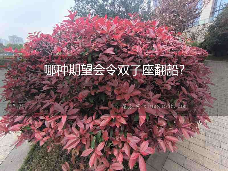哪種期望會令雙子座翻船？