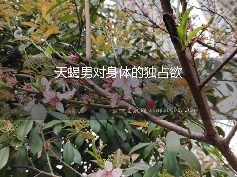 天蝎男對身體的獨占欲